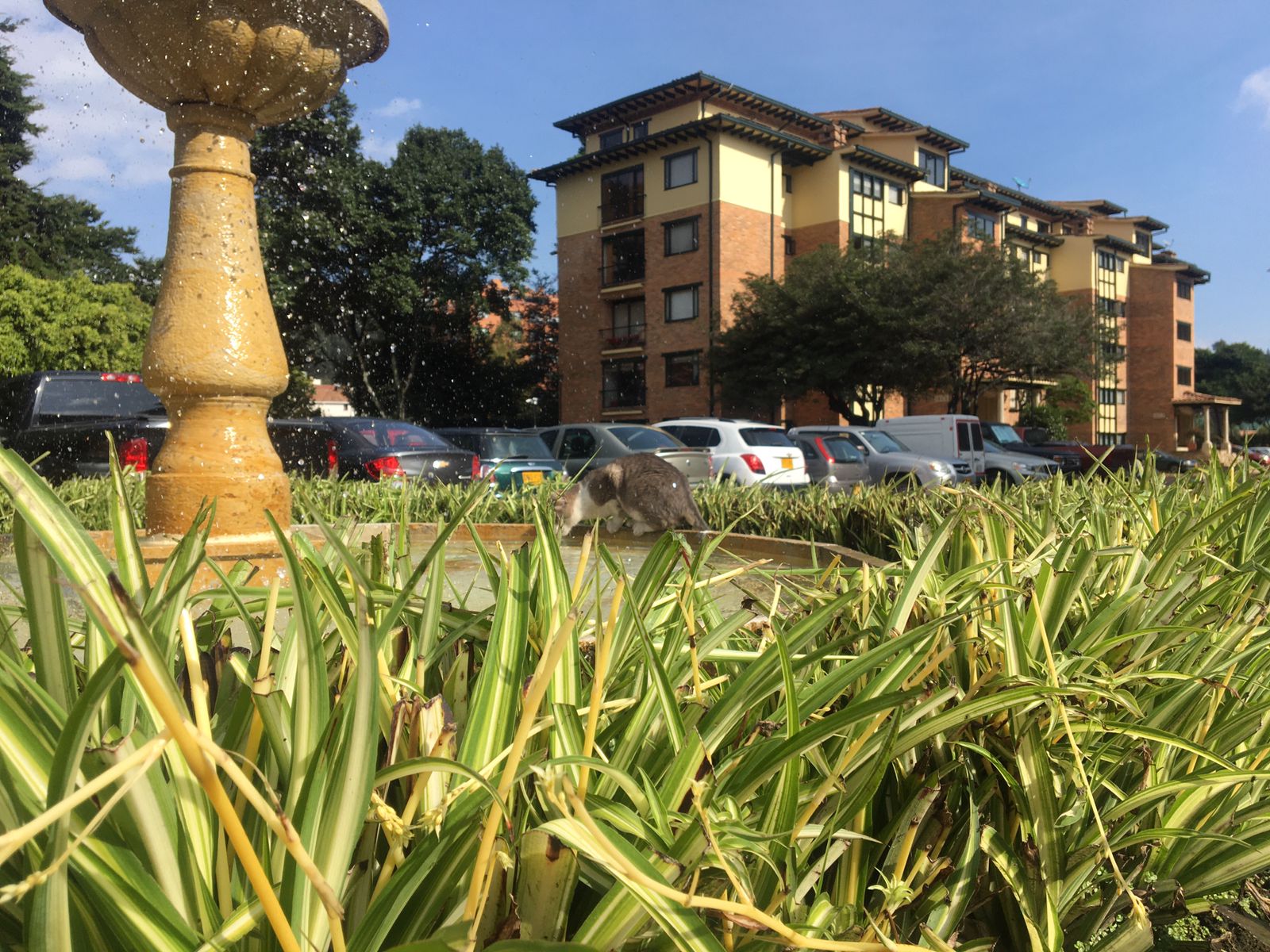 Apartamento Maravilloso - foto 2